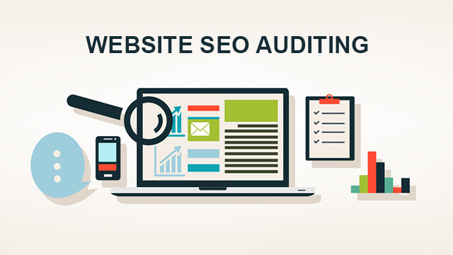 SEO Audit Taigum